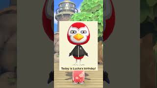 PART 4 Marshalls birthday twin animalcrossing animalcrossingnewhorizons acnh cozy game [upl. by Omarr]