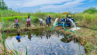 Pond Water Fish Catching and Cooking Fish Gravy in our Village  Country Fishing [upl. by Maegan]