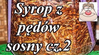 Pędy sosny  syrop nalewka wino 23 [upl. by Napoleon879]