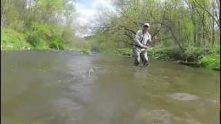 Kinnickinnic River Brown Trout [upl. by Spillihp]