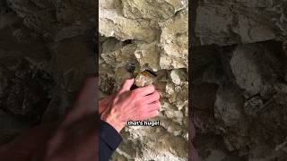 Finding a Large Pyrite Crystal 😲 [upl. by Notlef]