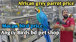 African grey parrot  Macaw bird price in Angry Birds bd pet shop exoticpetsbd [upl. by Ytsirk]