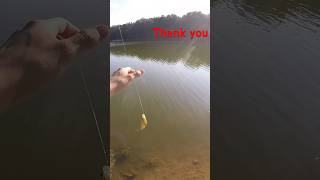 Fishing for Panfish mission successful fishingfypシ゚viral [upl. by Sansone]