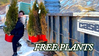 Garden Shopping and a Dumpster Dive Surprise [upl. by Haliek]