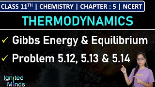 Class 11th Chemistry  Gibbs Energy Change amp Equilibrium  Problem 512 513 amp 514  Chapter 5 [upl. by Ettesyl]