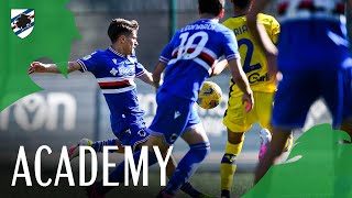 Highlights Primavera 1 TIM SampdoriaHellas Verona 12 [upl. by Kiley]