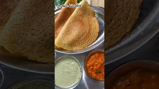 मूंग दाल डोसा बनाने की विधि Moong dal dosa recipe  Home made instant moong dal dosa recipe [upl. by Ylrad]