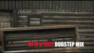 WE NO SPEAK AMERICANO  DJ M amp SOLE DUBSTEP REMIX [upl. by Federico]