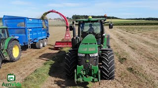 Silage 2020 John Deere 8260RJF 1350 Trailed Silaging [upl. by Katuscha]