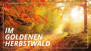 Fantasiereise Goldener Herbsttag  Geborgenheit amp Leichtigkeit [upl. by Novek]