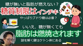 「糖がないと脂肪は燃えない？」「いいえ、糖が無くても脂肪は燃えます」 [upl. by Alaik]