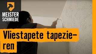 Meisterschmiede Vliestapete tapezieren [upl. by Rozele903]