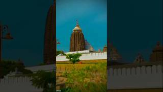 Jagarnath status story video 🙏🌄jayjagannath shortvideo viralvideo love jayjagannath [upl. by Enimaj]