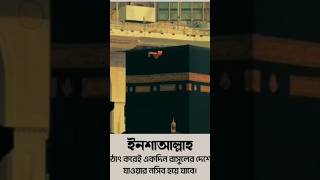 ইনশাআল্লাহ হঠাৎ করে রাসূলের দেশে যাওয়ার নছিব হয়ে যাবে 🤲🤲🤲🤲viral youtubeshorts [upl. by Levitt]