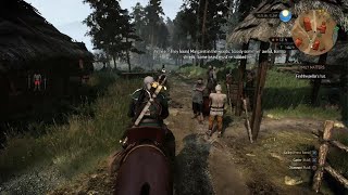 Witcher 3 Hidden Encounter in Blackbough After Killing Niellen The Werewolf [upl. by Hola389]