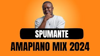 AMAPIANO MIX 2024  SPUMANTE  25 FEBRUARY [upl. by Baldridge]