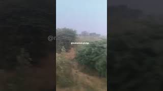 Moution love shortvideo short shots shortsfeed rajsthan trendingvideo trend [upl. by Hofstetter]