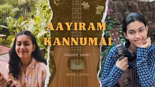 Aayiram kannumai ukulele cover  nokketha dhoorath kannum natt ukulele ukulelecover malayalam [upl. by Narual]