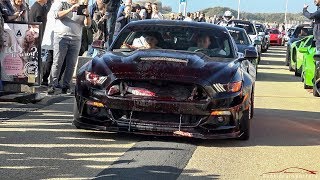 Alphamale Alpha ONE Widebody Ford Mustang GT  Crazy Burnouts amp Revs [upl. by Hanahs]