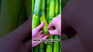 Amazing sugarcane husking🍀 shorts song food ‎mirumirutv6666 ‎AwitTv ‎‎fruitdecoration4295 [upl. by Isador984]