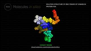 Molecules in silico ･ SOLUTION STRUCTURE OF ZINC FINGER HIT DOMAIN IN PROTEIN FON [upl. by Sweyn]