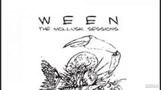 Ween  Mollusk Sessions  Did you see me [upl. by Bassett]