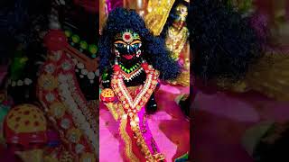 Radhe jab tu solah shringar laddugopalshortsmysweetladugopalbankebiharimeroladdugopalbabkebihar [upl. by Tammie]