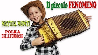 IL PICCOLO FENOMENO DELLORGANETTOallievo di ENZO SCACCHIAesegue POLKA DELLE FORMICHEMattia Monti [upl. by Llenehc617]