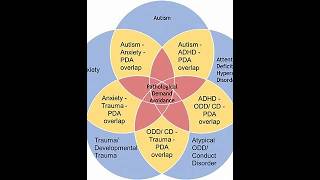 Pathological Demand Avoidance PDA [upl. by Ransell497]