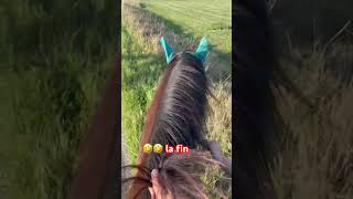 A cru en robe 🥴🥴 traversée chevaux cheval chevalpassion equestrian [upl. by Larson]