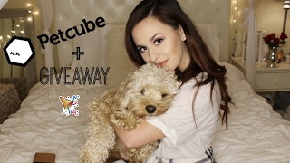 PetCube GIVEAWAY  REVIEW  LifeOfMeganandLiz [upl. by Wemolohtrab]