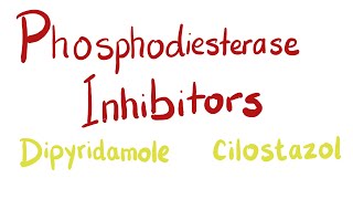 Phosphodiesterase PDE Inhibitors [upl. by Sugihara624]