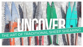 Uncover the Art of Traditional Sheep Shearing [upl. by Ecinnej]