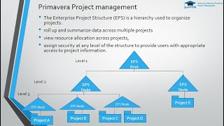 Primavera P6 Webinar [upl. by Edson]