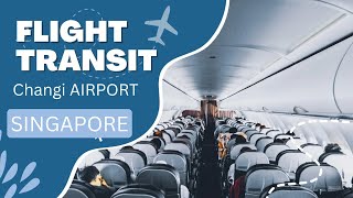 How to Transit at Singapore Changi Airport  Connecting Flight Transfer [upl. by Steep]