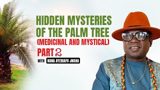 POWERFUL MEDICINAL AND MYSTICAL USE OF THE PALM TREE BY jnanacaksusdas572 PART 2 [upl. by Jarid]