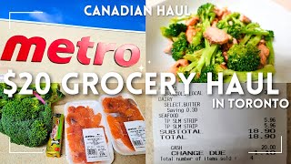 20 Canadian Grocery Haul  Budget amp Meal Challenge groceryvlog groceryhaul [upl. by Ruth]