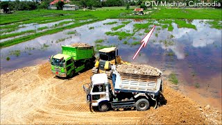 Incredible UPDATE 30 Project Size 50X70 Landfilling Use Dozer DR51PX KOMATSU And Dump Trucks 5Ton [upl. by Tracay61]