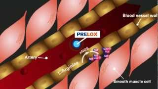 How does Prelox® work [upl. by Whiney238]