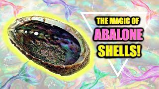 MAGICAL BENEFITS OF ABALONE SHELLS │ VERY POWERFUL [upl. by Gamaliel]