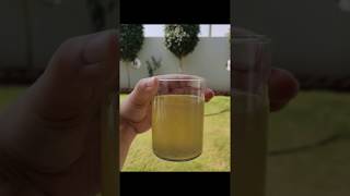 Fennel Water  Saunf ka Paani  Detox Drink  Immunity Booster [upl. by Yrrak]