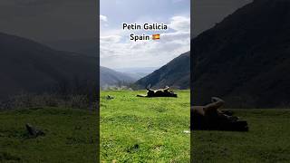 Galicia spain shorts highlights spain [upl. by Ggerk980]