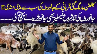 Clifton Cattle Market 2024  Clifton Maweshi Mandi  Cattle Mandi  Cattle Farm  Cow Mandi [upl. by Adnorat162]