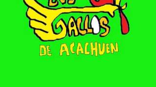 Los Gallos De Acachuen Canto A La Isla De Yunuen [upl. by Bedelia497]