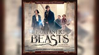 Fantastic Beasts and Where to Find Them Offiical Soundtrack  Tina Takes Newt In  WaterTower [upl. by Benito]