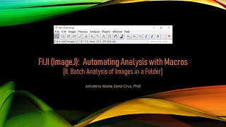 FIJI ImageJ Automating Analysis with Macros II Batch Analysis of Images in a Folder [upl. by Ocsic]