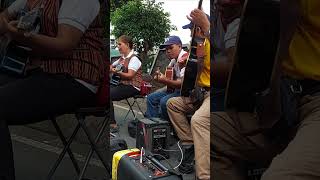 George Benson  You Are the Love of My Life cover by Philippine Rondalla Serenata at Session Road [upl. by Ynnij]