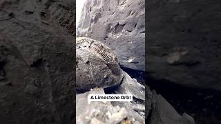 We Found A Fossil Inside A Limestone ORB [upl. by Lawry]