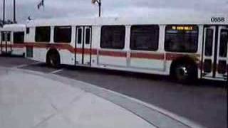 Mississauga Transit D40LFs [upl. by Bandur]