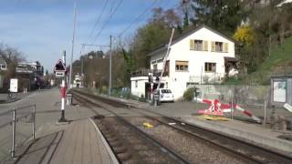 BLT Baselland Transport Schindler Be 48 und Stadler Be 610 Tagno auf der Linie 10 [upl. by Nodnnarb]